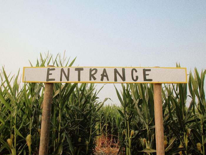 Three Nunns Pumpkin Patch Has Tractors, U-Pick & Massive Corn Mazes for Acres of Fun 6 corn maze entrance