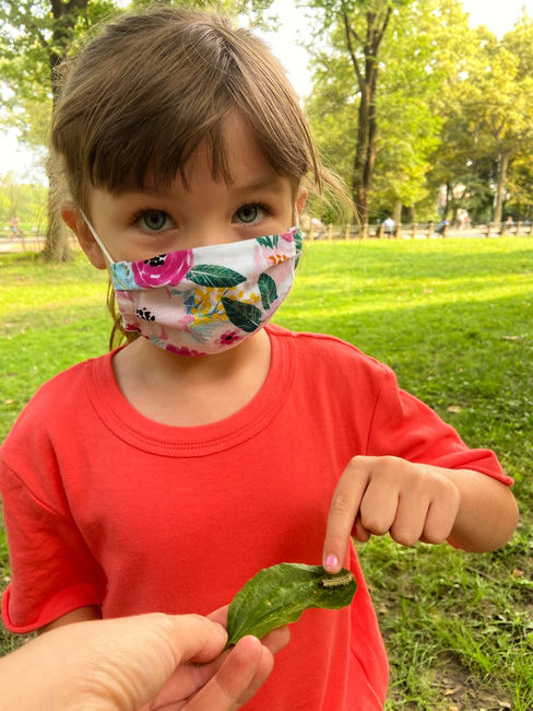 9 Pandemic Pod Resources for Learning -- Find Yours! 3 treebath student outside learning pod