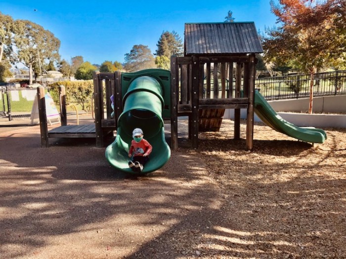 Berkeley Park Profile: Cedar-Rose Park 1 Cedar-Rose-Park-Berkeley