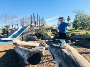 toddler balancing on log