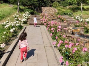 The Morcom Rose Garden with two kids
