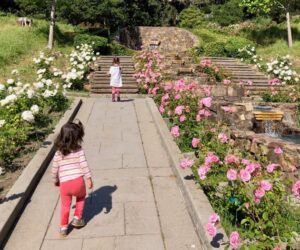 The Morcom Rose Garden with two kids