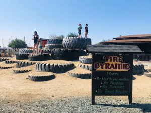 Dell'Osso Family Farm tires