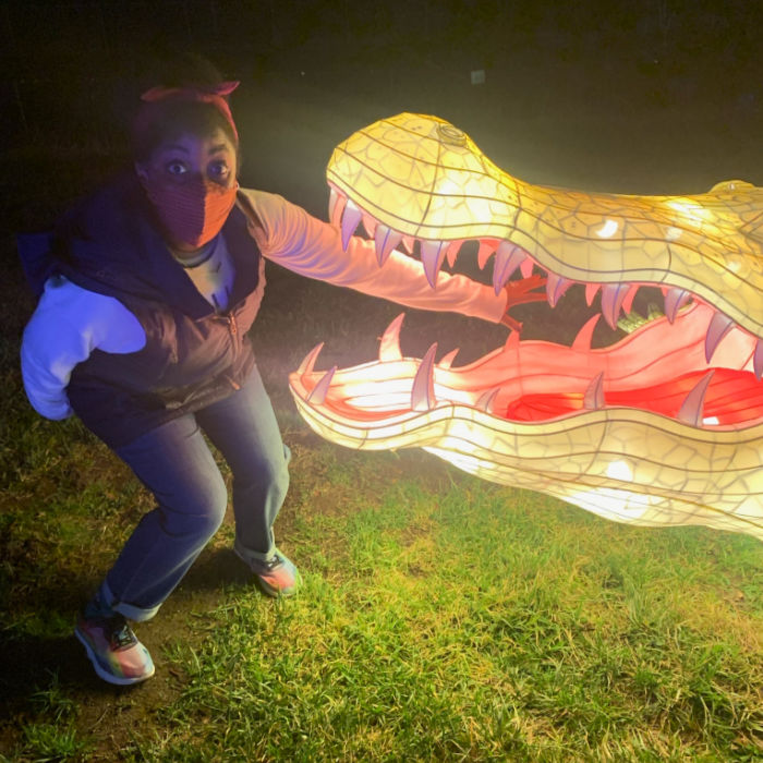 Open Nov. 11 to ??: Glowfari Lantern Festival at the Oakland Zoo 5 glowfari animitronic alligator
