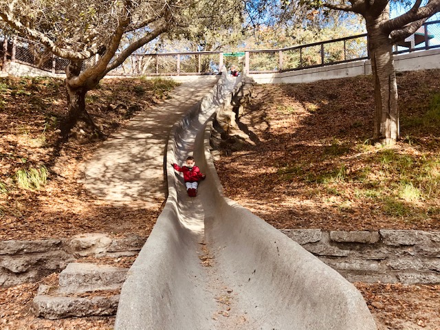 Park Profile: Dorothy Bolte Park in the Berkeley Hills 5 Dorothy-Bolte-Park-Berkeley