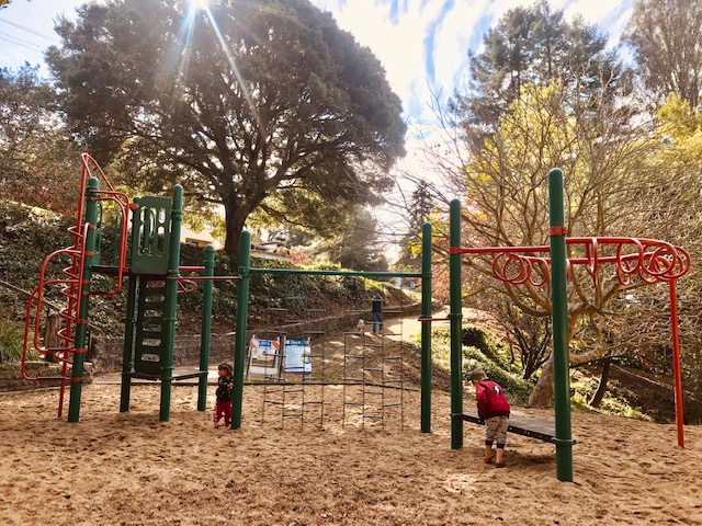 Park Profile: Dorothy Bolte Park in the Berkeley Hills 4 Dorothy-Bolte-Park-Berkeley