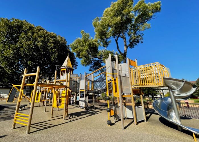 Lafayette Playground: the Tippy Top of San Francisco, Super Clean & Gorgeous 4 IMG 2825