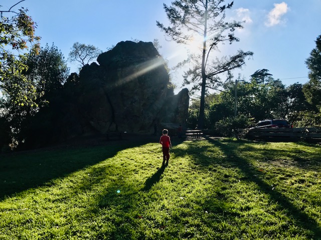 Where to Scramble: The Rock Parks of North Berkeley 1 large rock and grassy field
