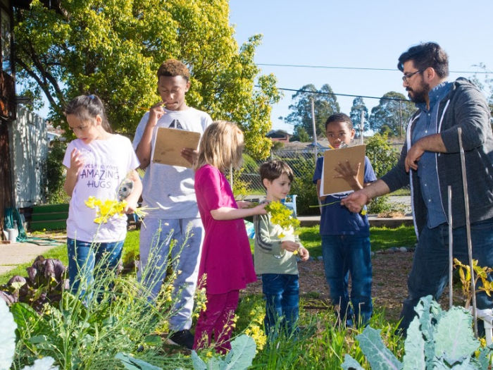 Spotlight on Crestmont School 1 crestmont mixed ages in the garden