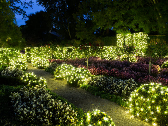 filoli garden lights on bushes