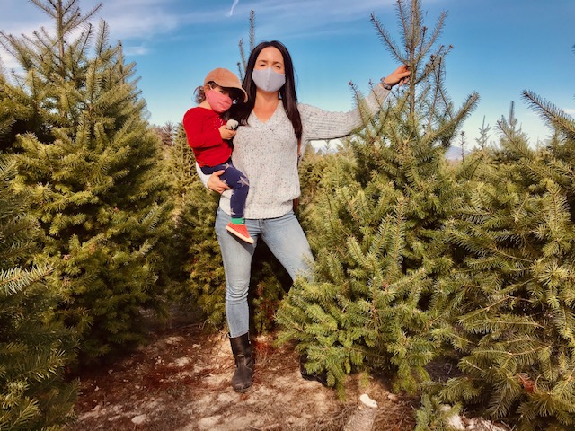 Frosty Mountain Tree Farm Sebastopol