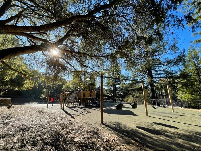 15 Toddler-Friendly Hikes in the East Bay 4 IMG 3116