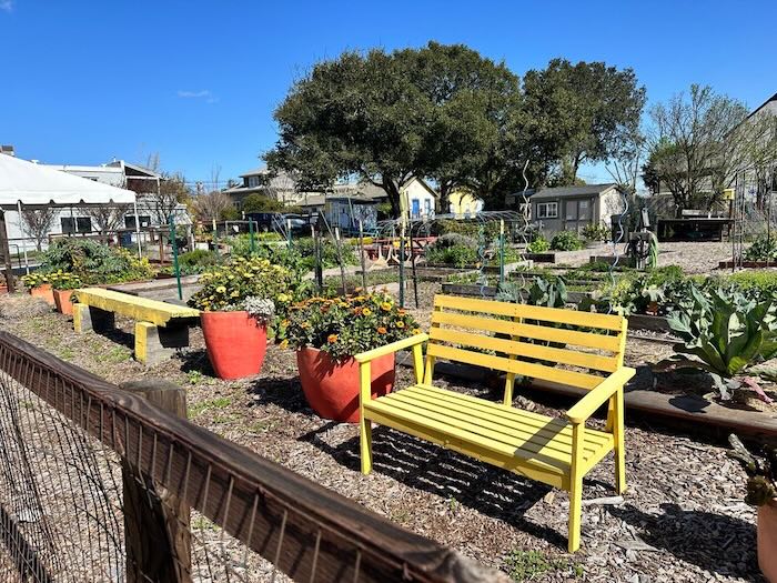 avant community garden in benicia with yellow bench, plotted plants, and raised bed gardens