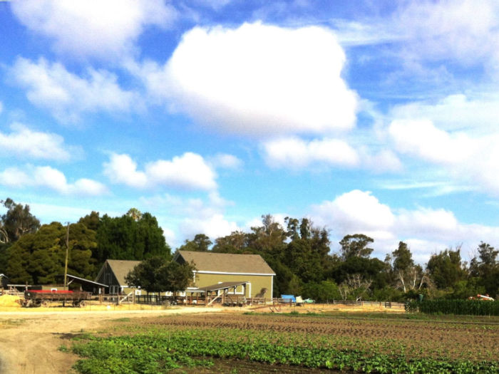 ardenwood historic farm in fremont