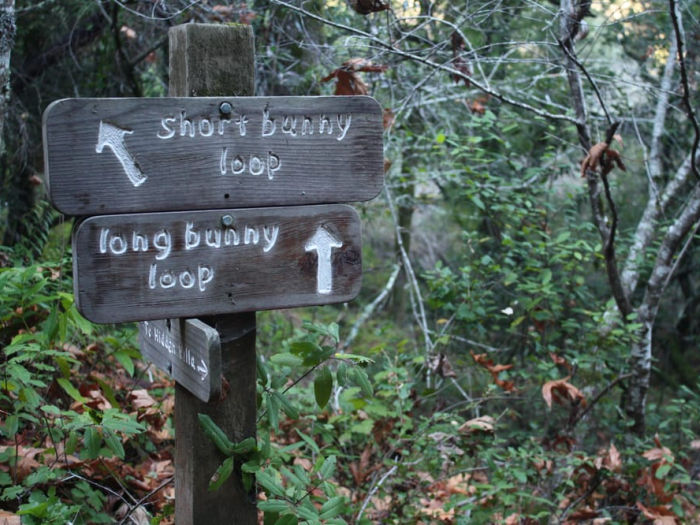 signs marking hikes at hidden villa