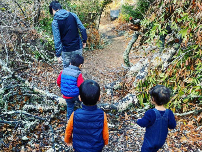 long bunny loop at hidden villa kid hikers
