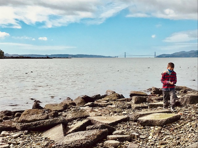 Unusual TEPCO Beach in Richmond is Full of Riches 7 TEPCO-Beach-Richmond-Golden-Gate-Bridge