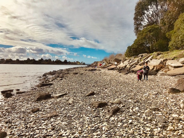 Unusual TEPCO Beach in Richmond is Full of Riches 4 TEPCO-Beach-Richmond