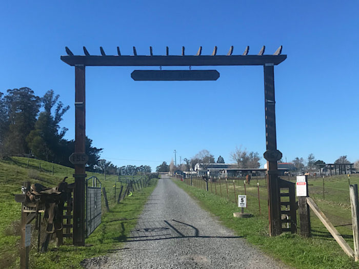 Meet a Giant Furry Cow & a Zonkey at American Made Miniatures Farm 2 farm gate and driveway in petaluma