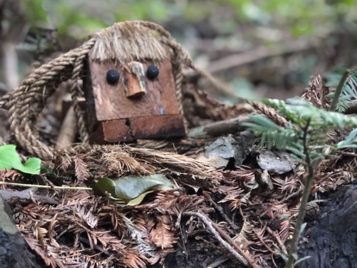 bebe troll from bridgeview troll hike