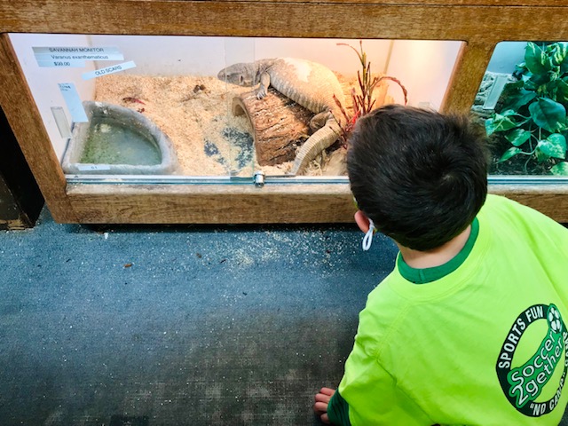 15 Places in the Bay Area Where Kids Can See Animals - 510 Families