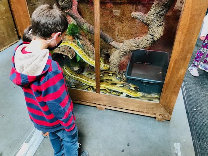kid with snakes