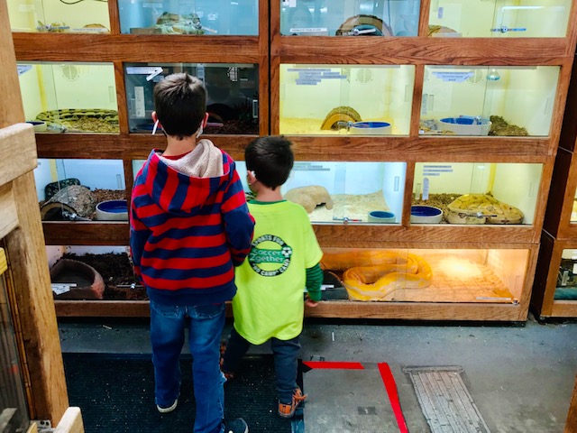 kids and snakes