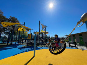 many swings for all abilities and ages