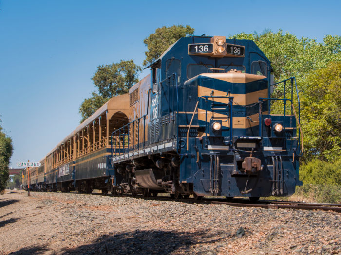 River Fox Train Sacramento