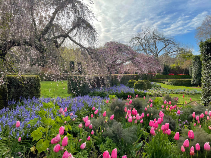 Best Things to Do With Kids in May 2 Filoli blooms in spring