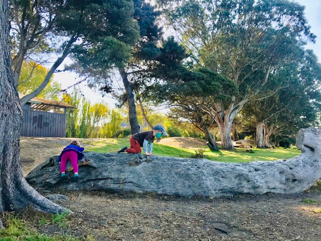 15 Toddler-Friendly Hikes in the East Bay 9 Aquatic Park Toddlers