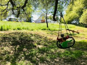 Heirloom Acres Farm Swing