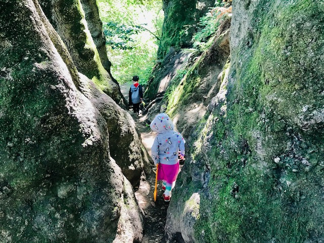 15 Toddler-Friendly Hikes in the East Bay