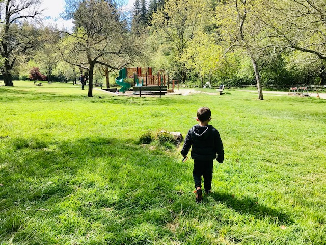 15 Toddler-Friendly Hikes in the East Bay 7 Meadow Playground Steam Trail