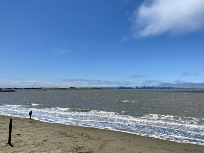 Albany Beach