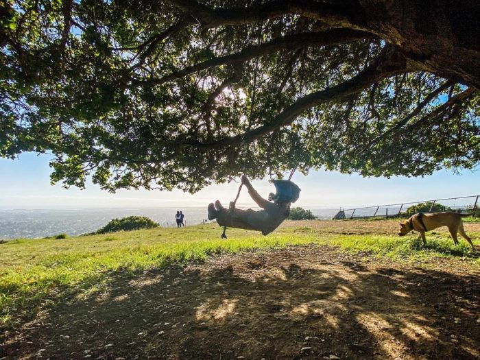 15 Toddler-Friendly Hikes in the East Bay 3 knowland park swing