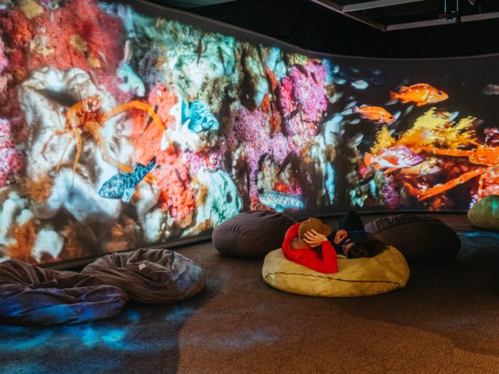 Activities at Oakland Museum of California