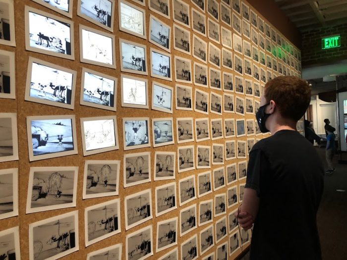 cel frames of steamboat willie