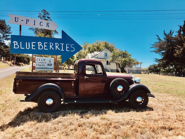 Blueberry Picking Sign Truck