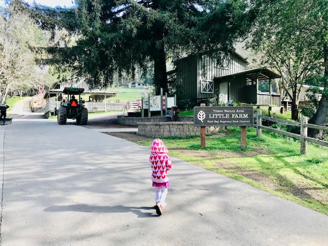 child walking up hill to farm