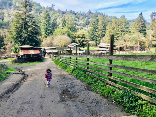 child hiking up hill at farm