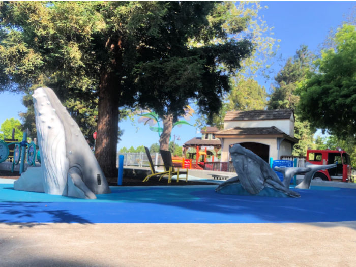 whale climbing structure