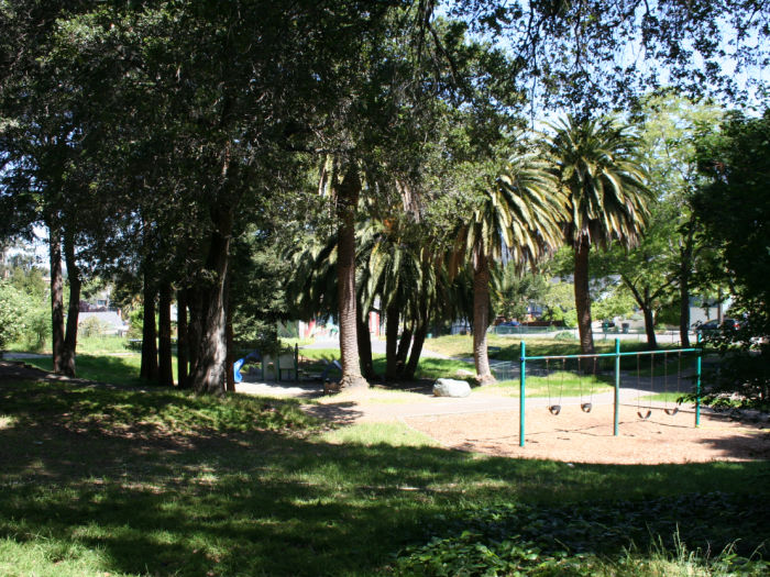 sandy park with baby swings and palm trees