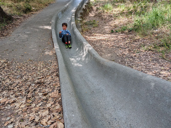 Dorothy Bolte Park in the Berkeley Hills