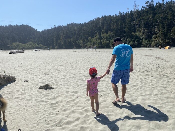 girl and dad walking on beach