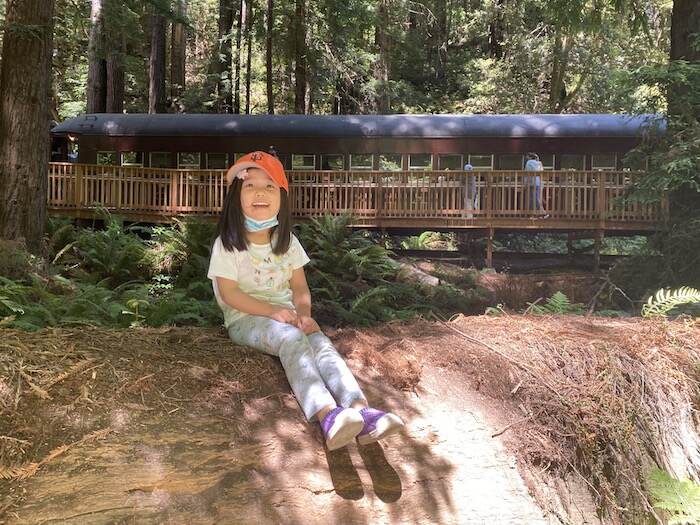 kid in front of train