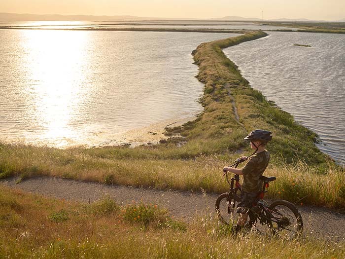 Bay Day Celebrates the Wonders of the Bay Area 1 Child bikes along Bay Trail