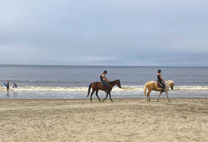 Aptos Beach and horses