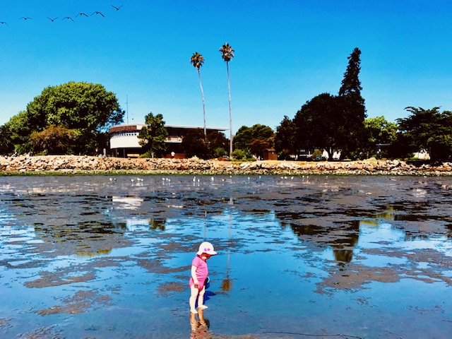 toddler on beach at low tide