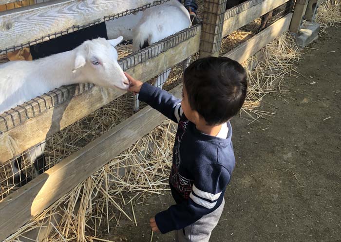 Lemos Farm